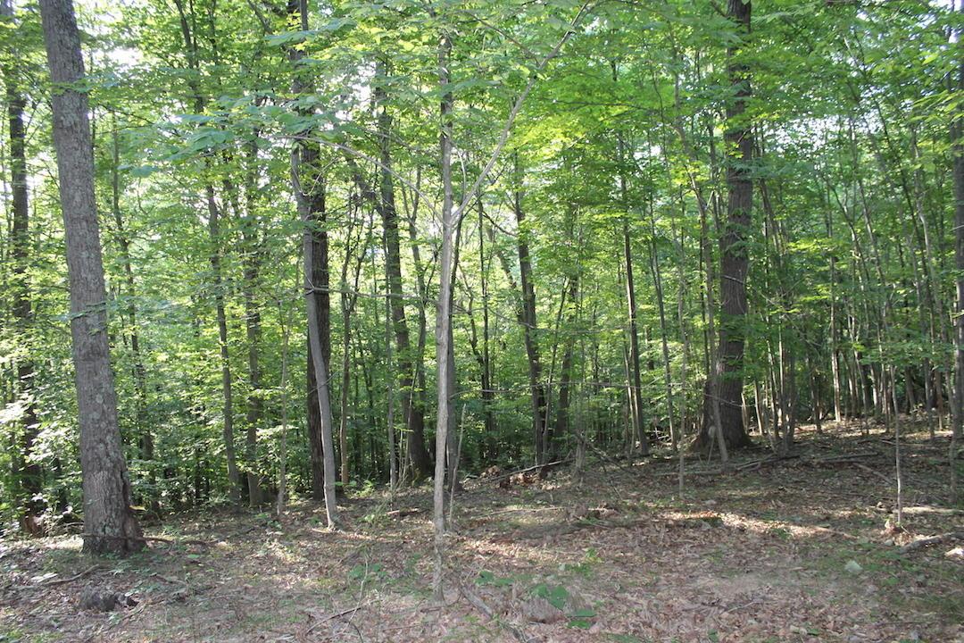 0 Boyer Road Wheelersburg, OH 45694 - Photo 26 of 30