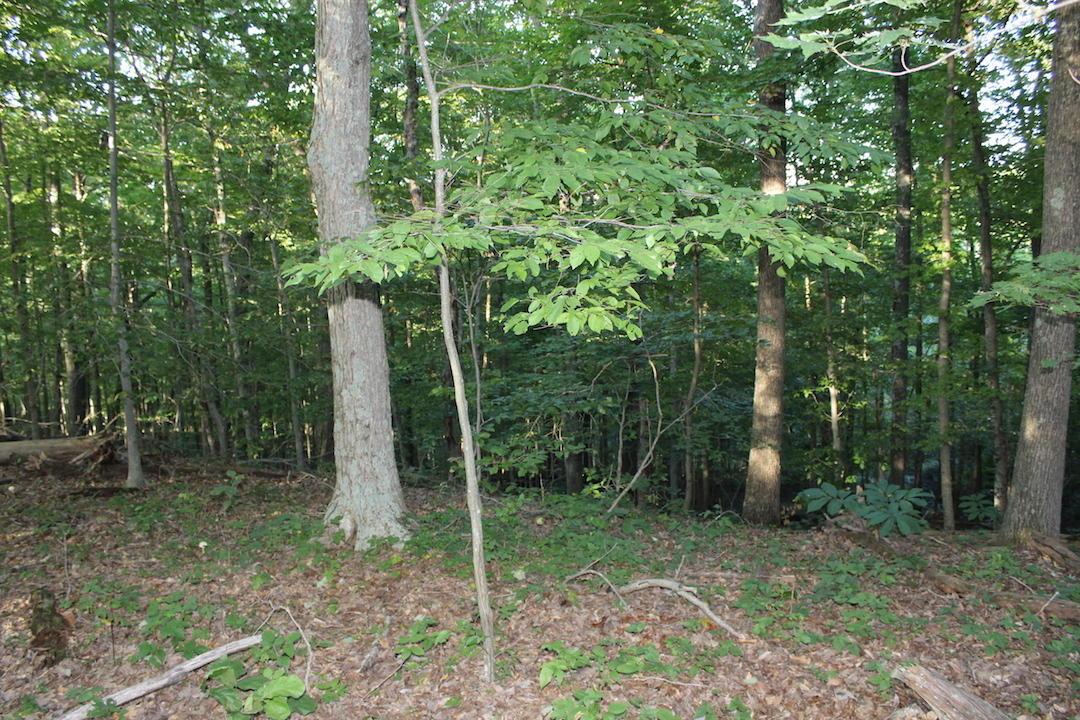 0 Boyer Road Wheelersburg, OH 45694 - Photo 27 of 30