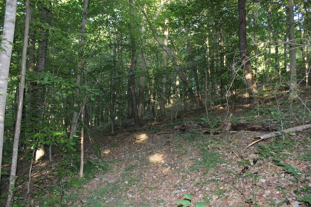 0 Boyer Road Wheelersburg, OH 45694 - Photo 28 of 30