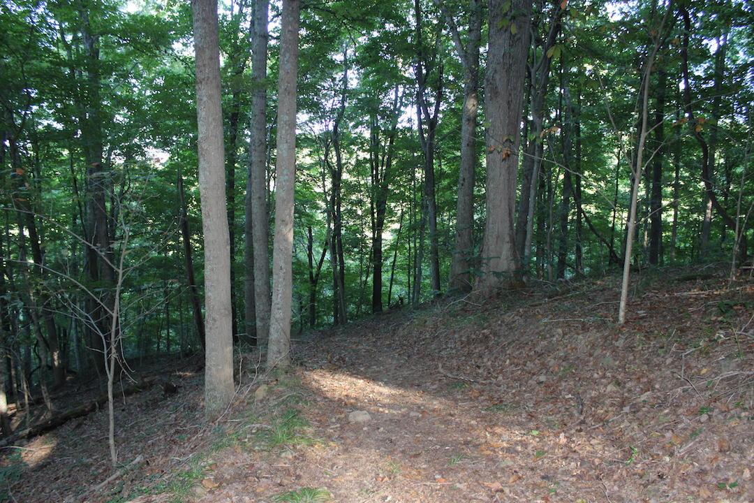 0 Boyer Road Wheelersburg, OH 45694 - Photo 4 of 30