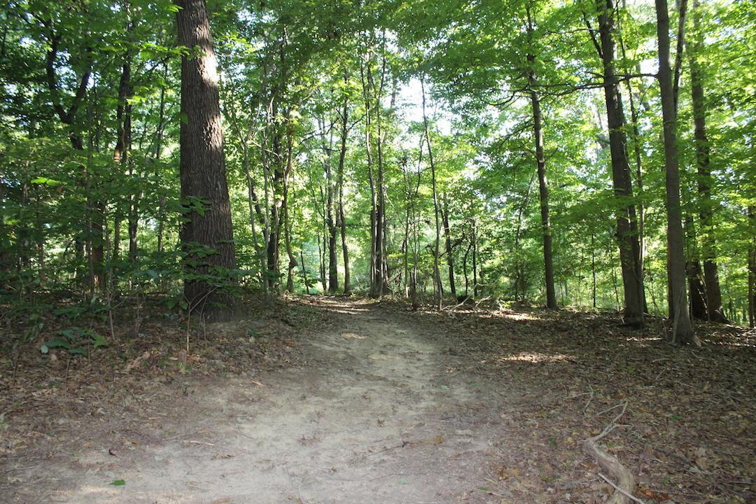 0 Boyer Road Wheelersburg, OH 45694 - Photo 6 of 30