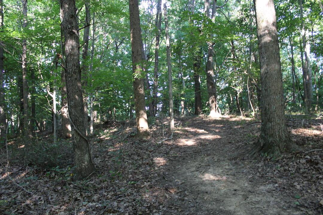 0 Boyer Road Wheelersburg, OH 45694 - Photo 7 of 30