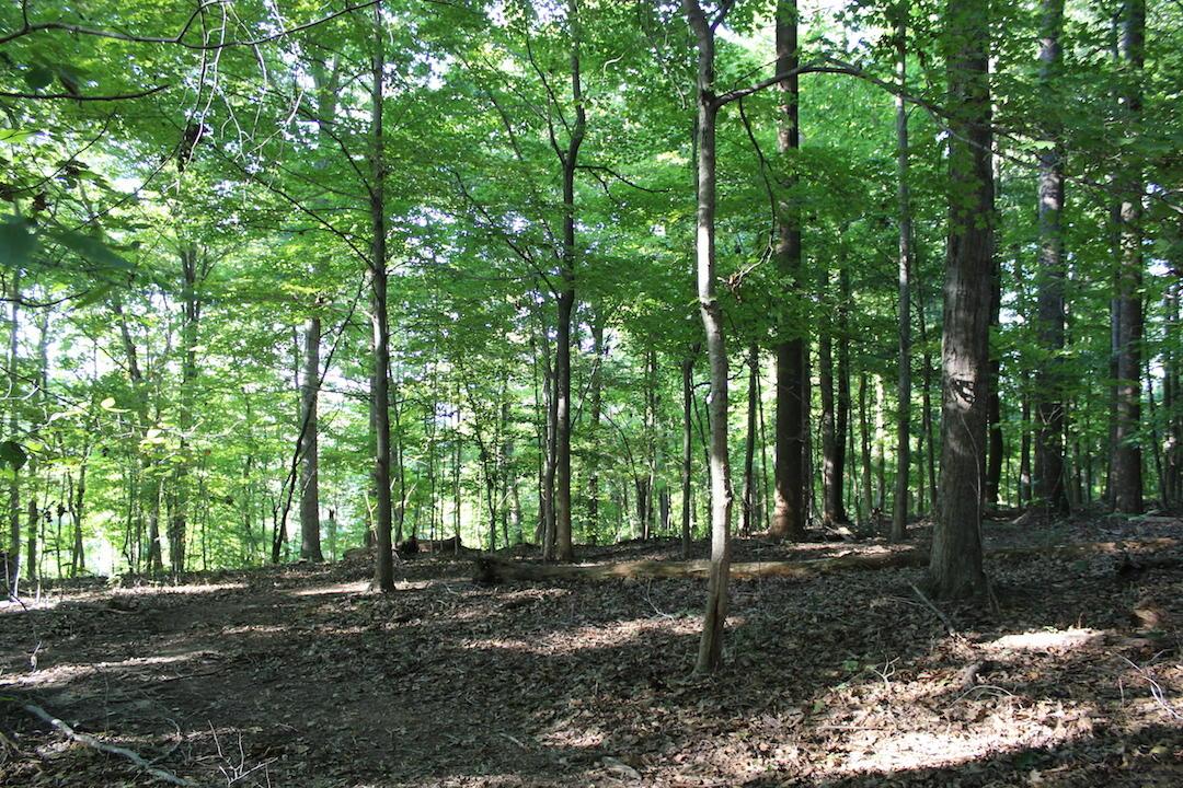 0 Boyer Road Wheelersburg, OH 45694 - Photo 8 of 30