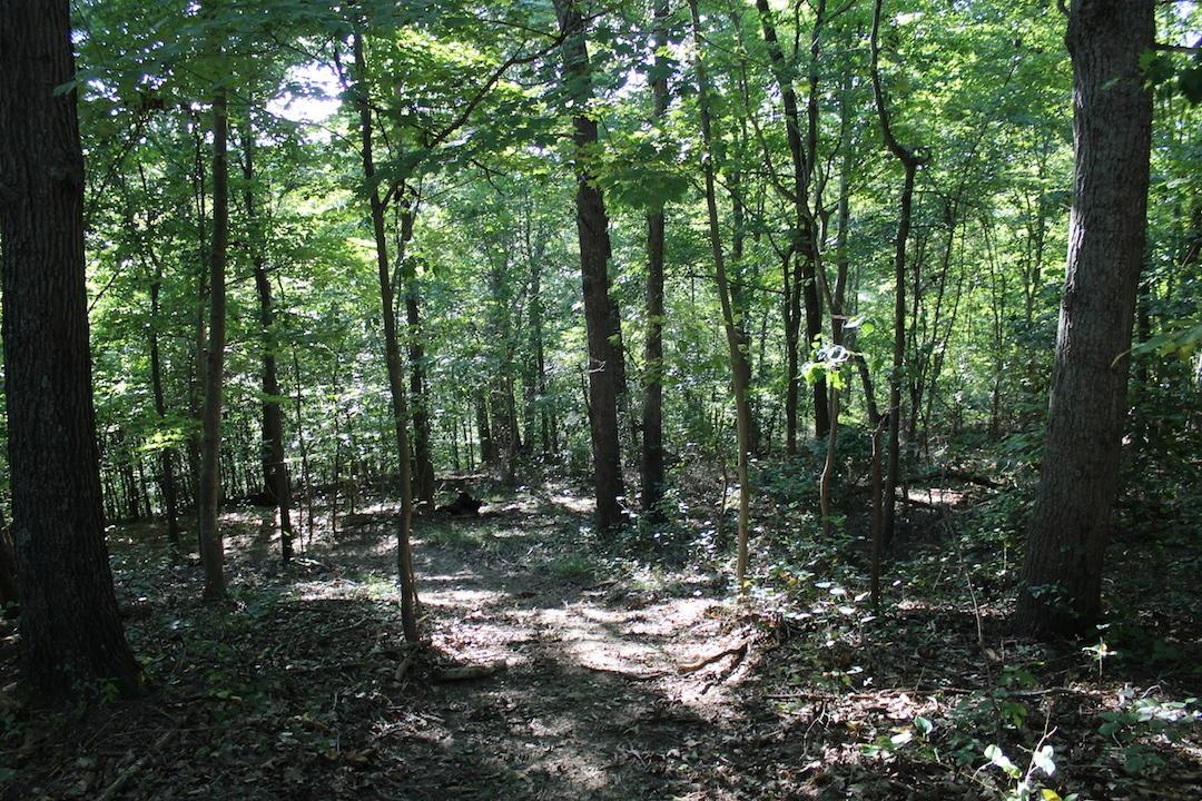0 Boyer Road Wheelersburg, OH 45694 - Photo 9 of 30