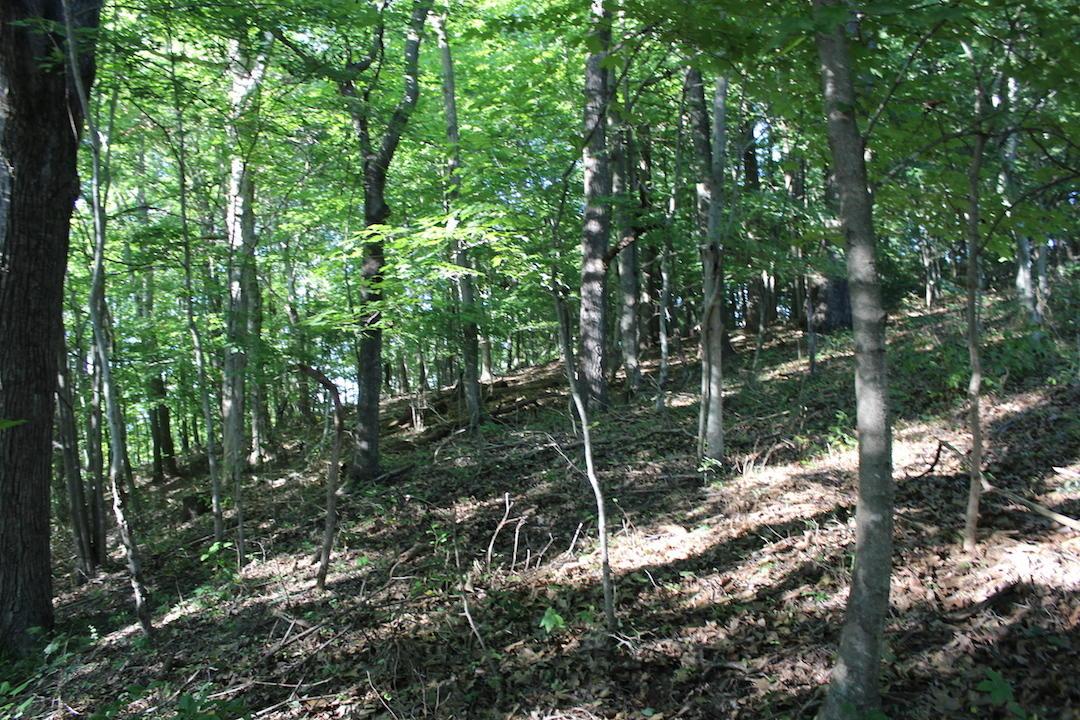 0 Boyer Road Wheelersburg, OH 45694 - Photo 10 of 30