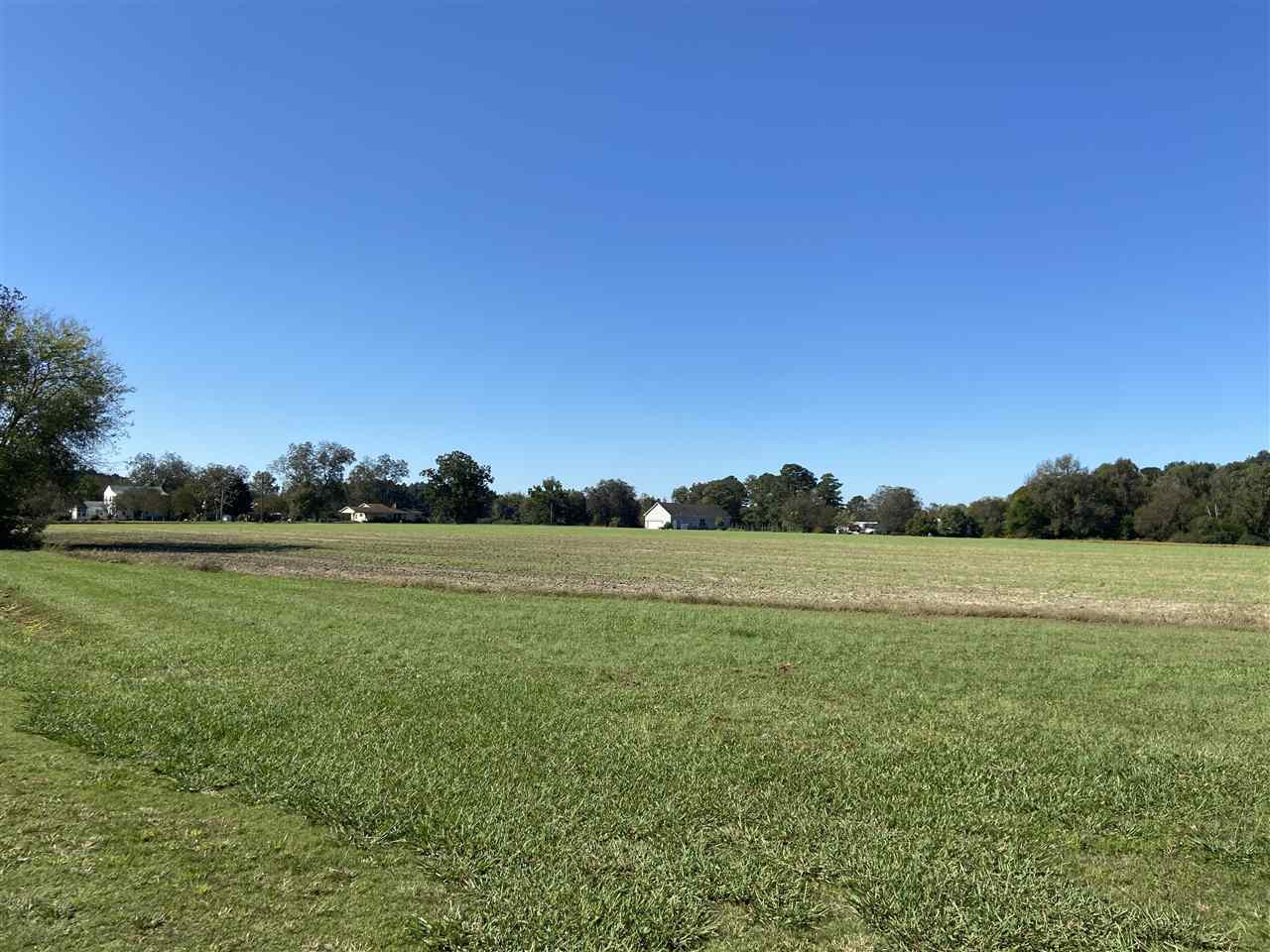 Brogden Road Smithfield, NC 27577 - Photo 1 of 3 Photo 1