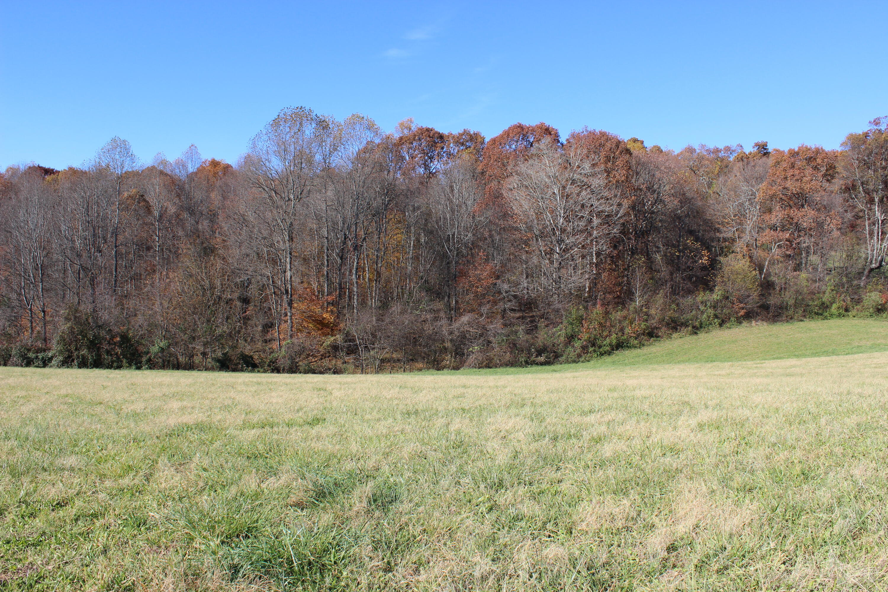 Lot 2 Providence Road, Unit 2 Limestone, TN 37681 - Photo 2 of 6 IMG_8339