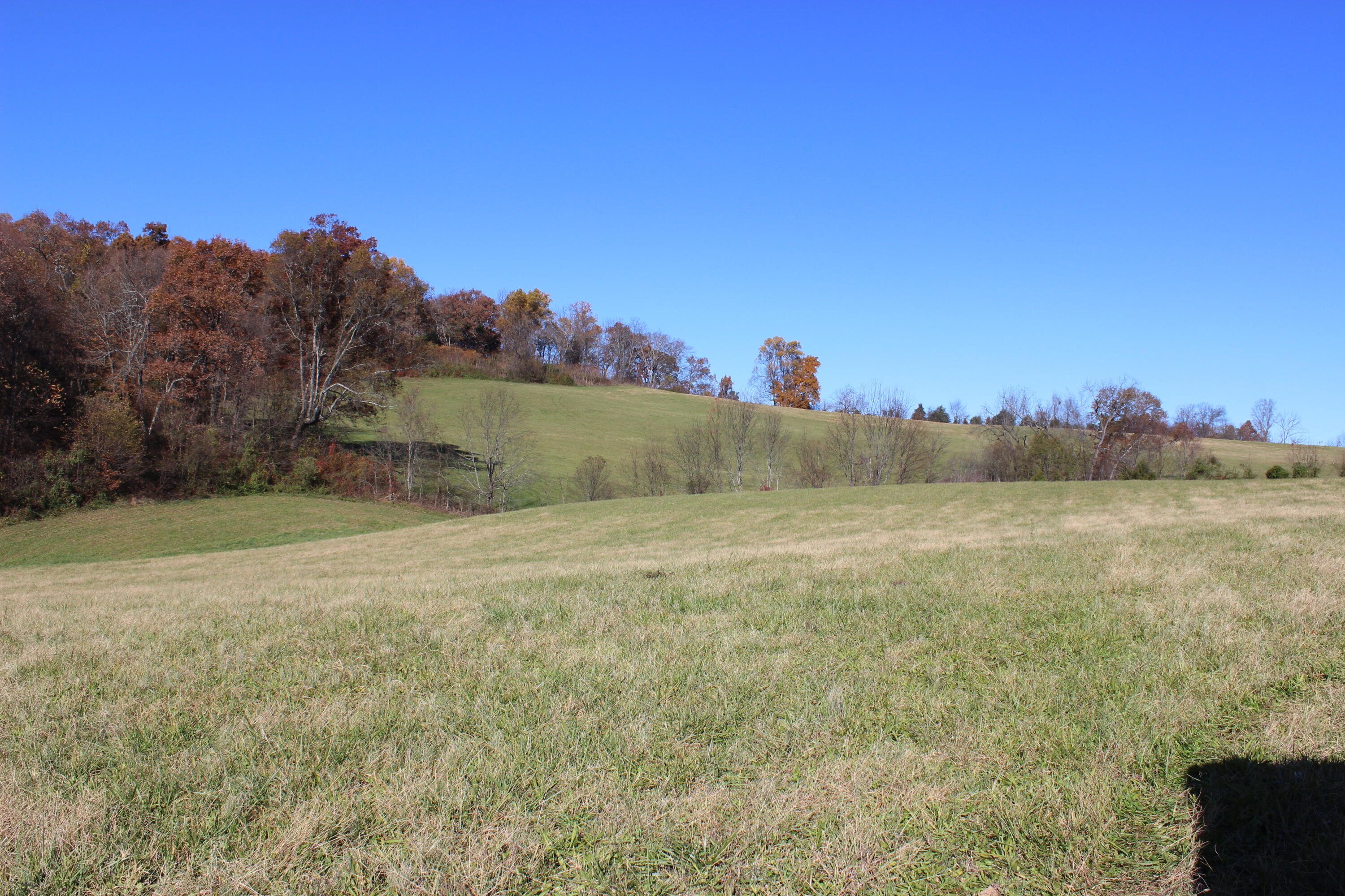 Lot 2 Providence Road, Unit 2 Limestone, TN 37681 - Photo 3 of 6 IMG_8341