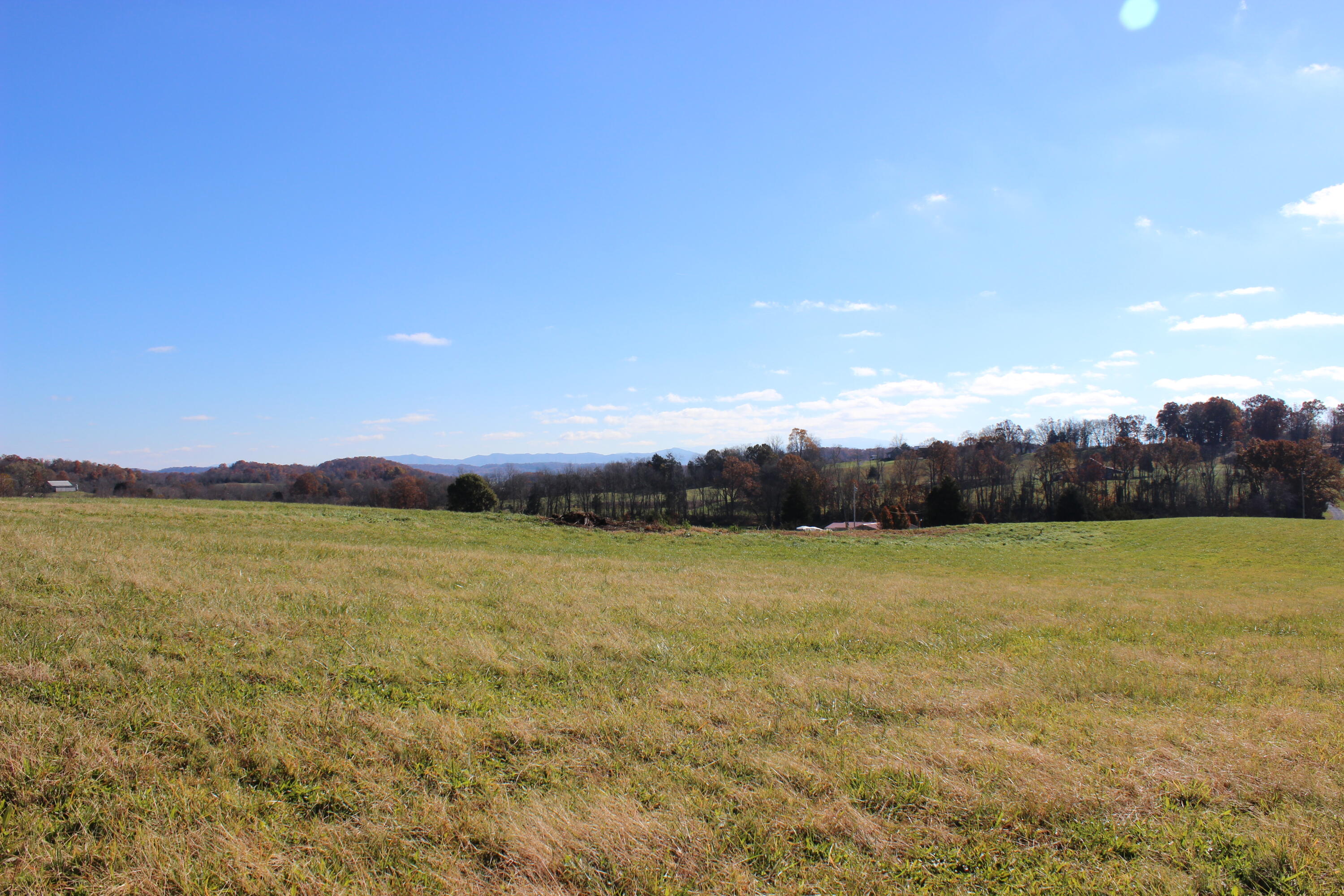 Lot 2 Providence Road, Unit 2 Limestone, TN 37681 - Photo 5 of 6 IMG_8345