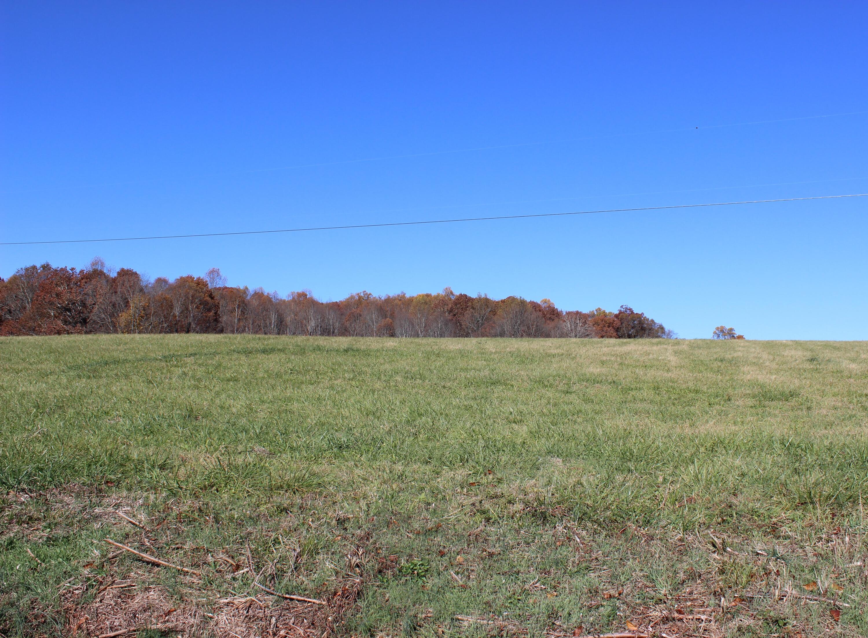 Lot 2 Providence Road, Unit 2 Limestone, TN 37681 - Photo 6 of 6 IMG_8363