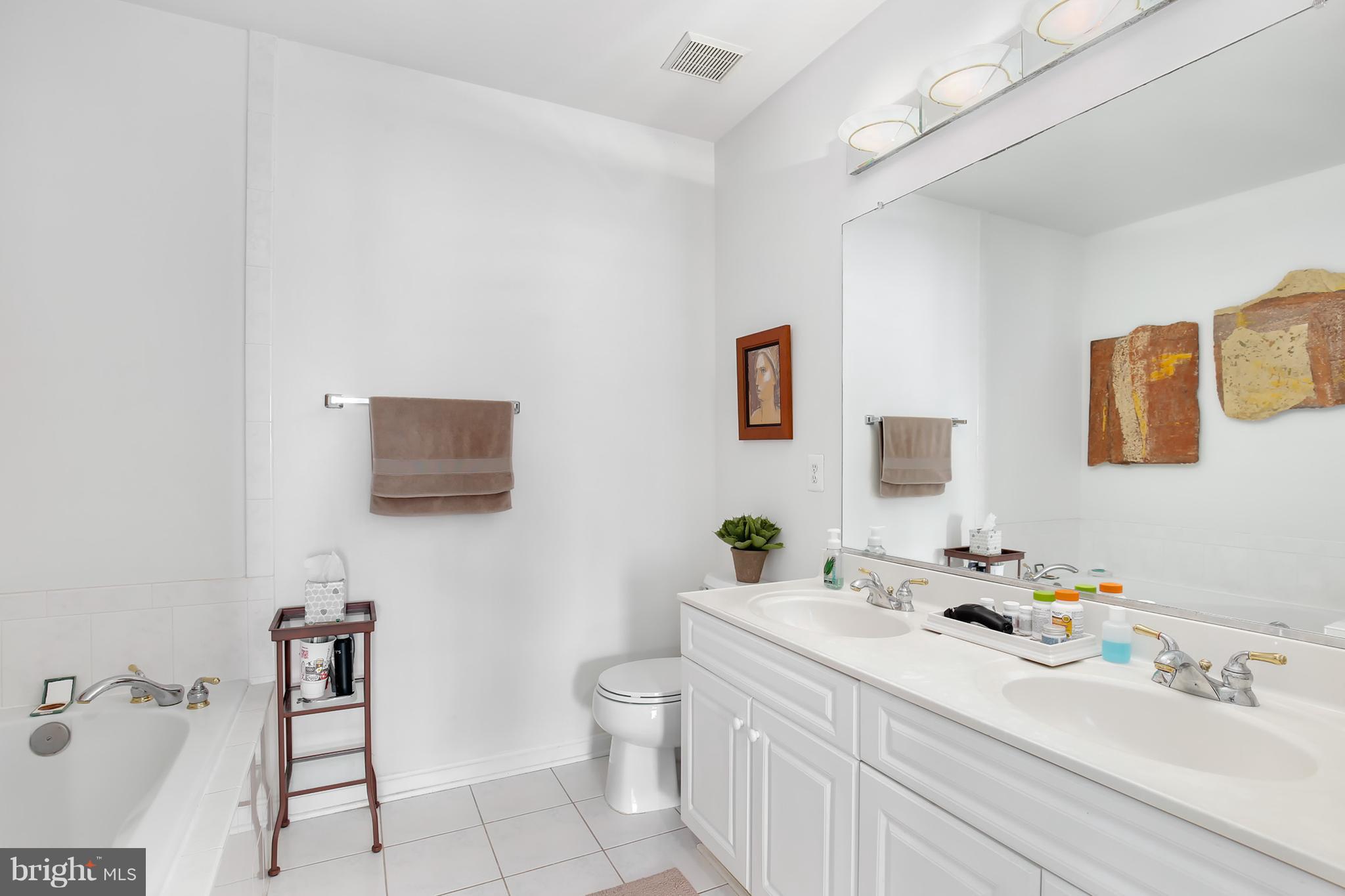 25272 Riffleford Square, Unit 304 Chantilly, VA 20152 - Photo 23 of 30 a bathroom with a sink a toilet and mirror
