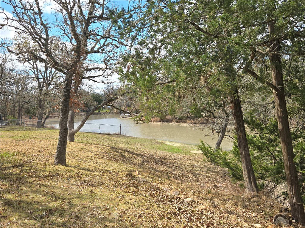 219 Ripple Creek Lane Somerville, TX 77879 - Photo 12 of 46 a view of yard with trees
