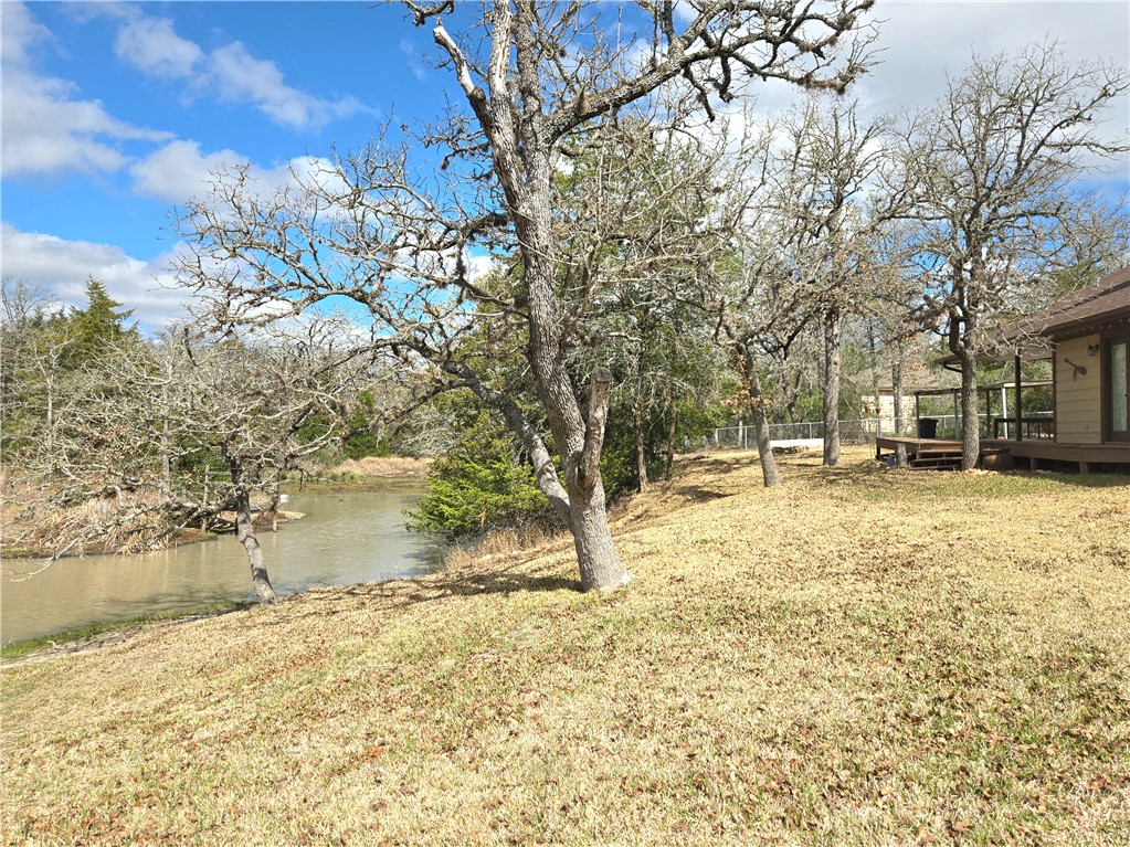 219 Ripple Creek Lane Somerville, TX 77879 - Photo 13 of 46
