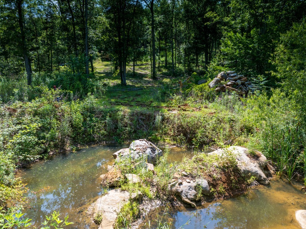 0 McElroy Road Readyville, TN 37149 - Photo 8 of 19