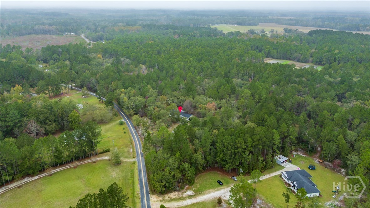 137 Bird Road Springfield, GA 31329 - Photo 44 of 46