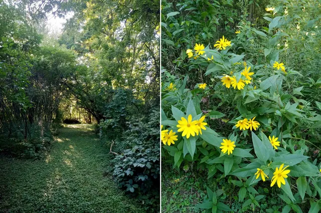 $199,900 | Lot 20 Gaston Cottage Grove, Cottage Grove, WI 53527