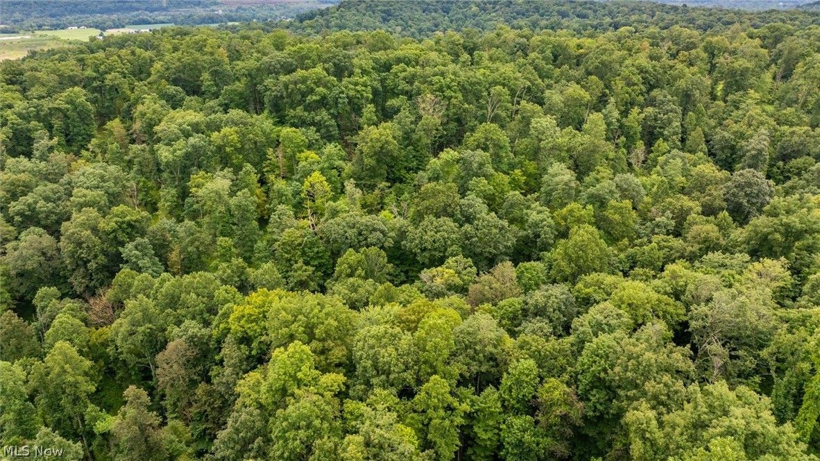 0 Bald Knob-Stiversville Road Portland, OH 45770 - Photo 8 of 20 Gallery Image 8