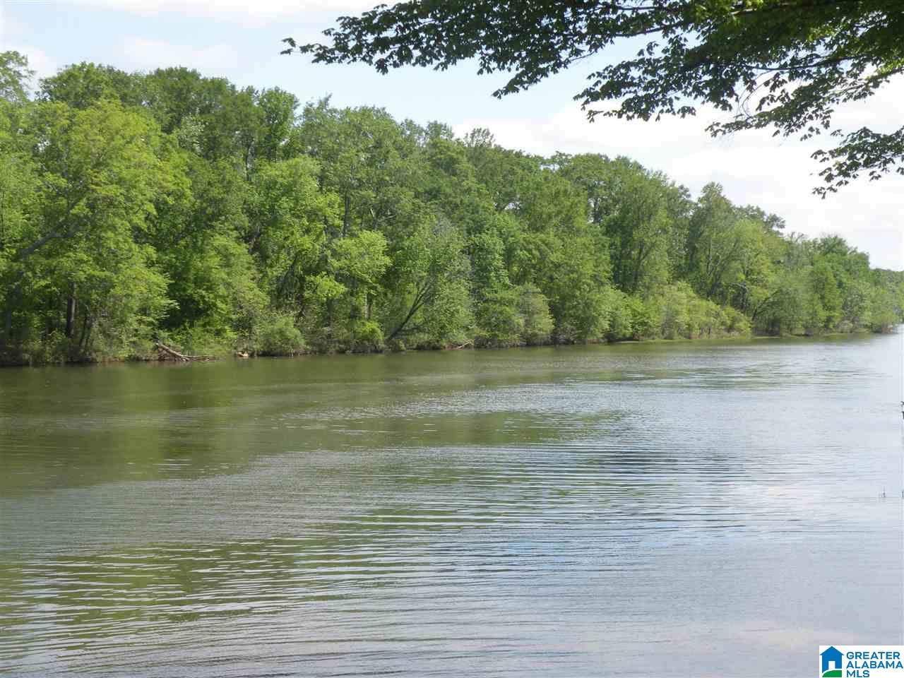 141 River Run Road Childersburg, AL 35044 - Photo 32 of 39