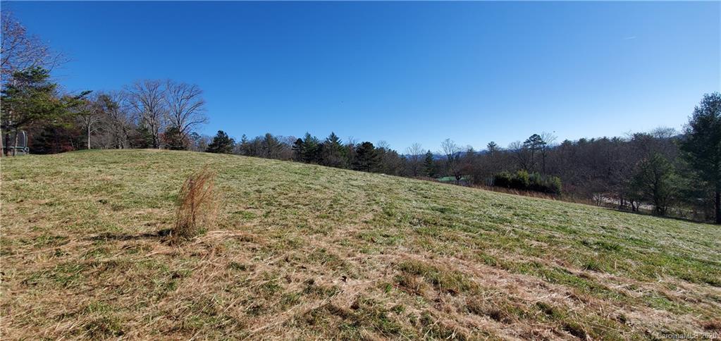 0 Jones Road Leicester, NC 28748 - Photo 7 of 15 a view of a yard