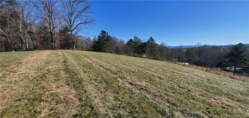 0 Jones Road Leicester, NC 28748 - Photo 8 of 15 a view of a backyard of the house
