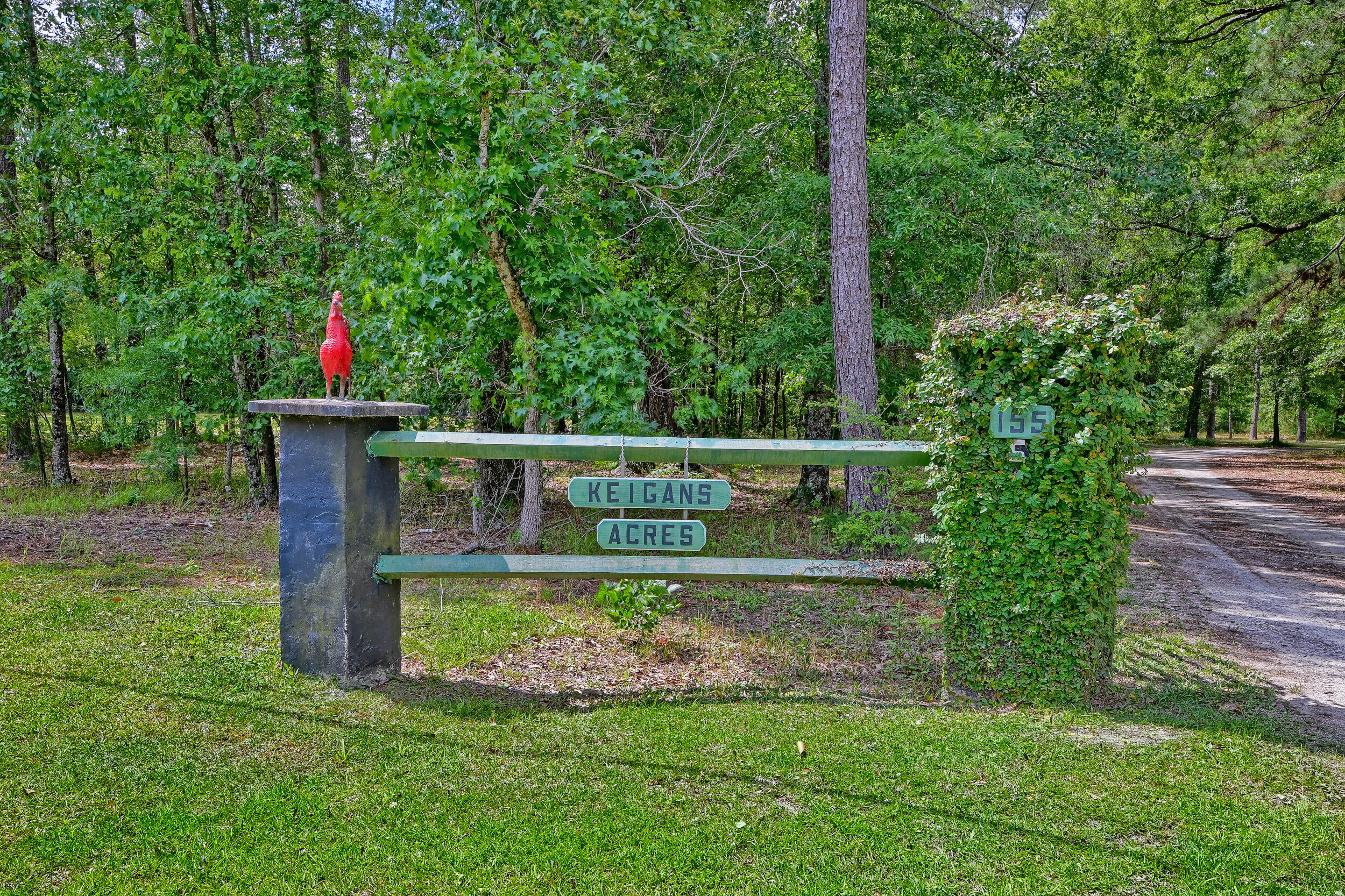 157 Gallashaw Road Summerville, SC 29483 - Photo 18 of 90 Front