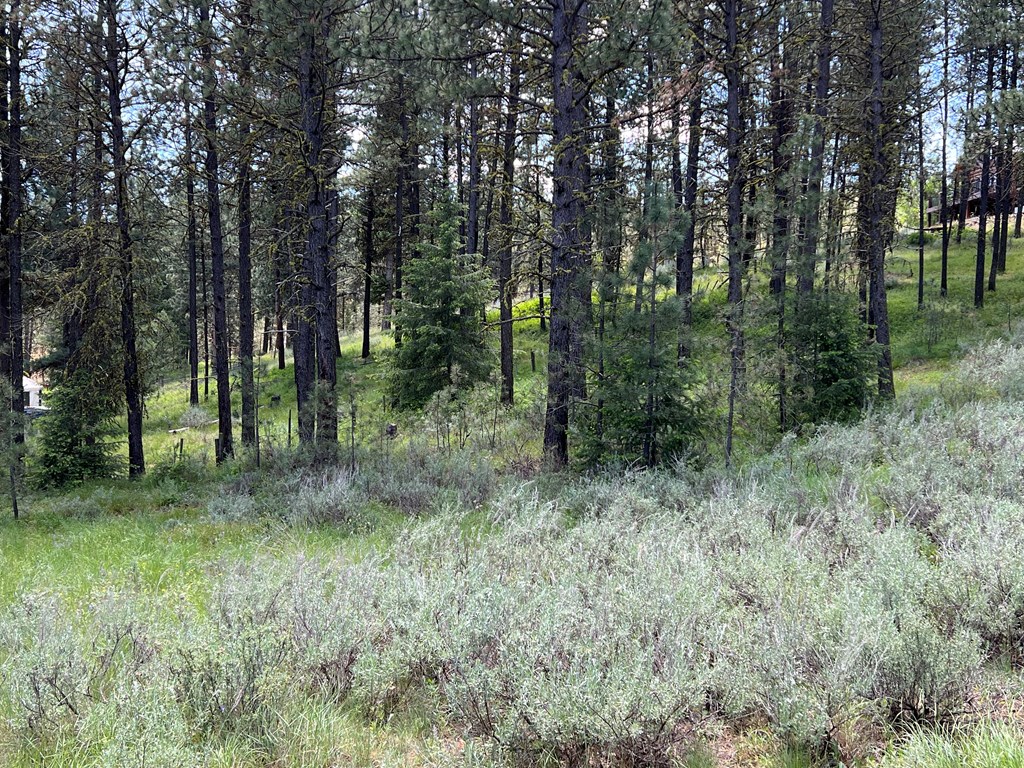 B22-l13 Vardon Road, Unit 13 New Meadows, ID 83654 - Photo 7 of 16