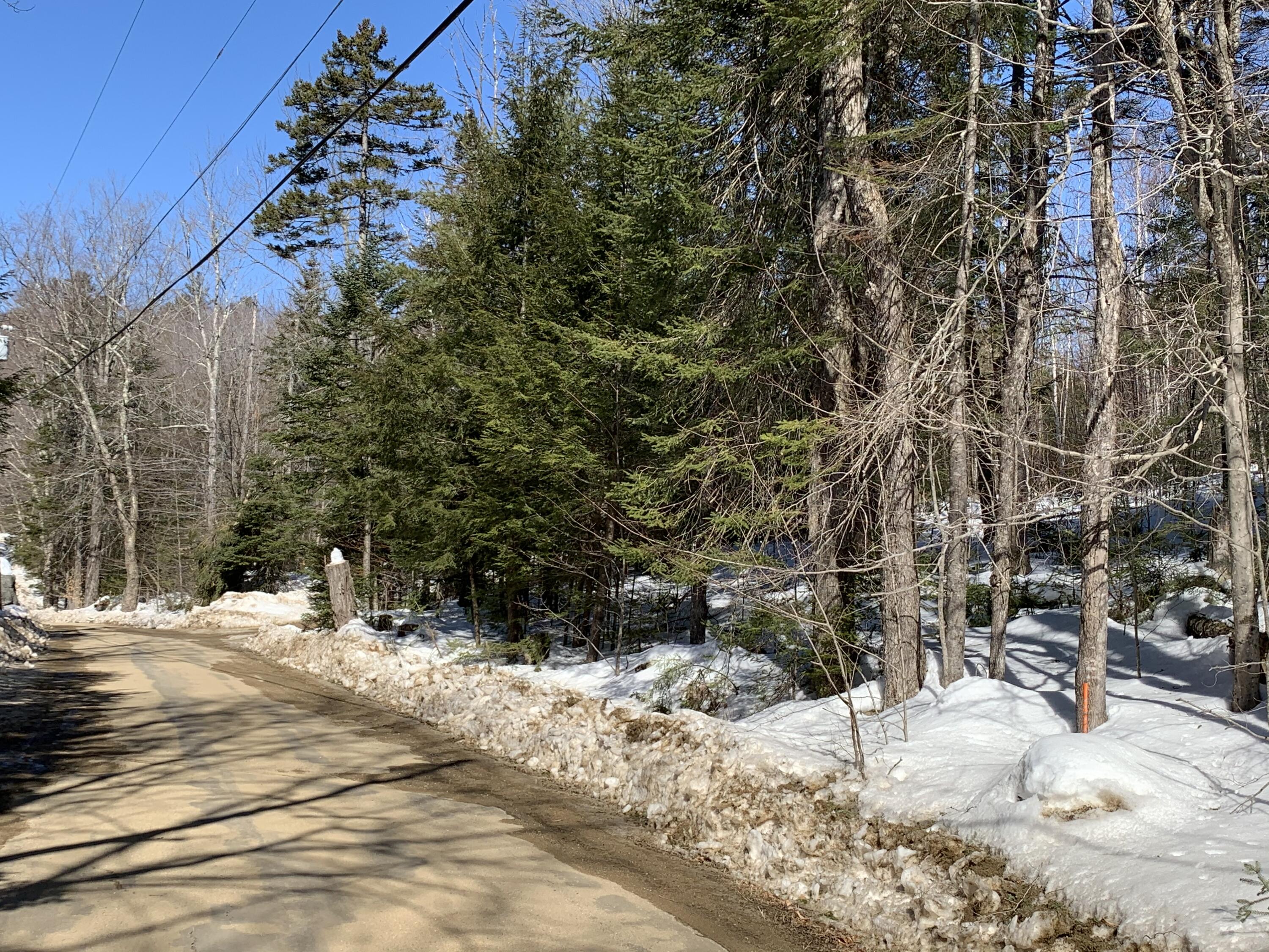 Tbd Howard Pond Road Hanover, ME 04237 - Photo 3 of 26 EB20BF95-7C37-4C1B-A98E-92B127439F8F