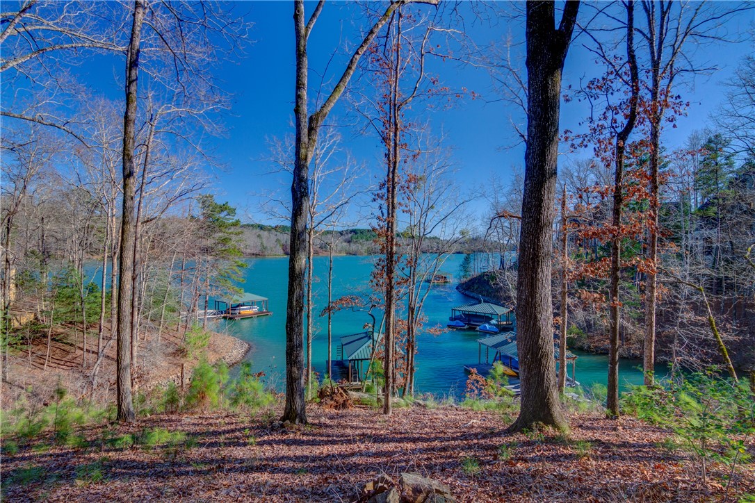 910 Rippling Water Way Salem, SC 29676 - Photo 1 of 17 Gallery Image 1