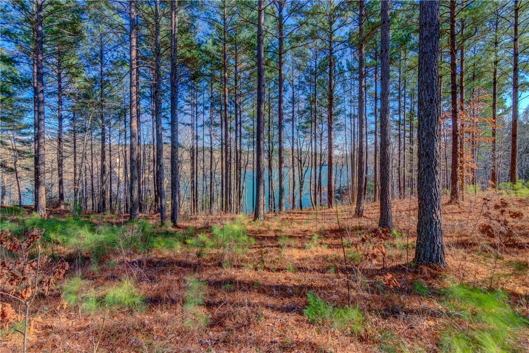 910 Rippling Water Way Salem, SC 29676 - Photo 11 of 17 Gallery Image 11