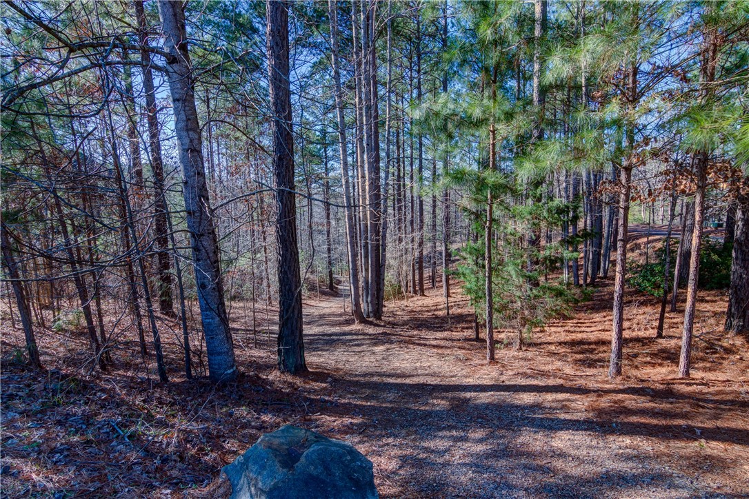 910 Rippling Water Way Salem, SC 29676 - Photo 15 of 17 Gallery Image 15