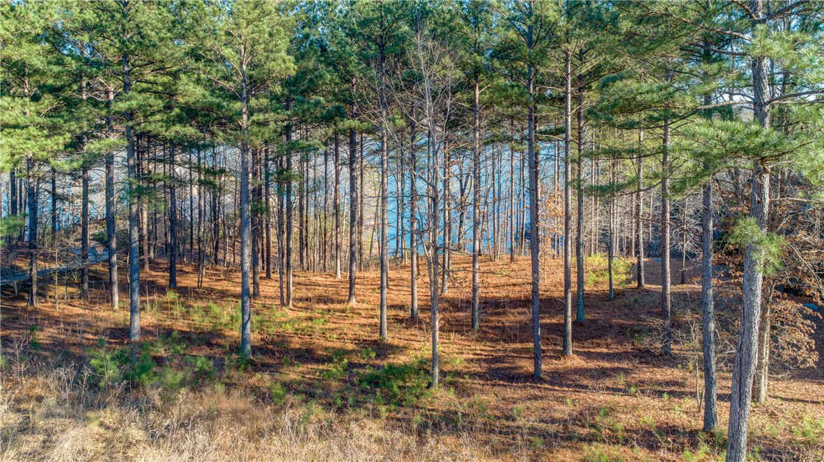 910 Rippling Water Way Salem, SC 29676 - Photo 2 of 17 Gallery Image 2