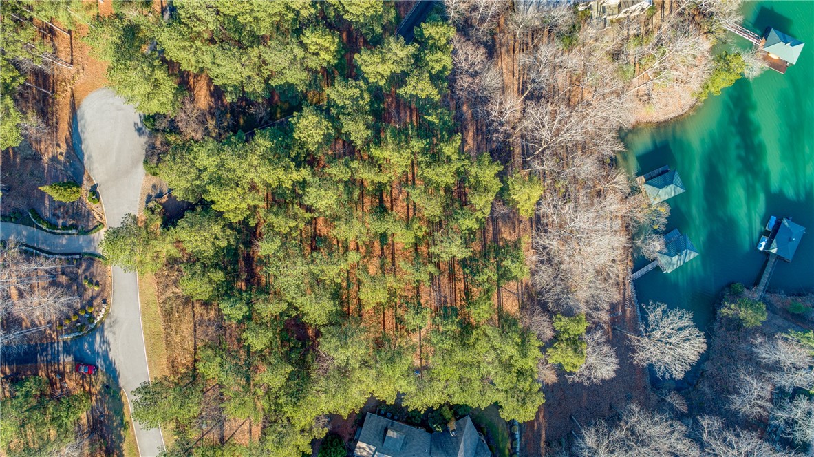 910 Rippling Water Way Salem, SC 29676 - Photo 6 of 17 Gallery Image 6