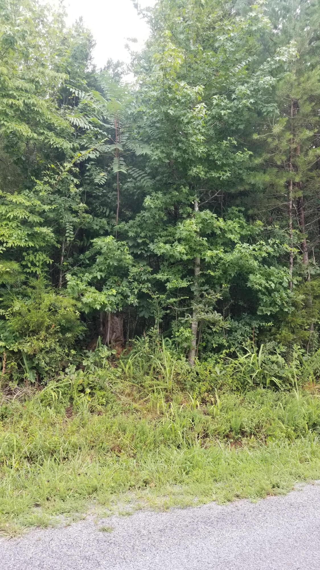 10.18-acre Stump Hollow Road Spring City, TN 37381 - Photo 1 of 17 1