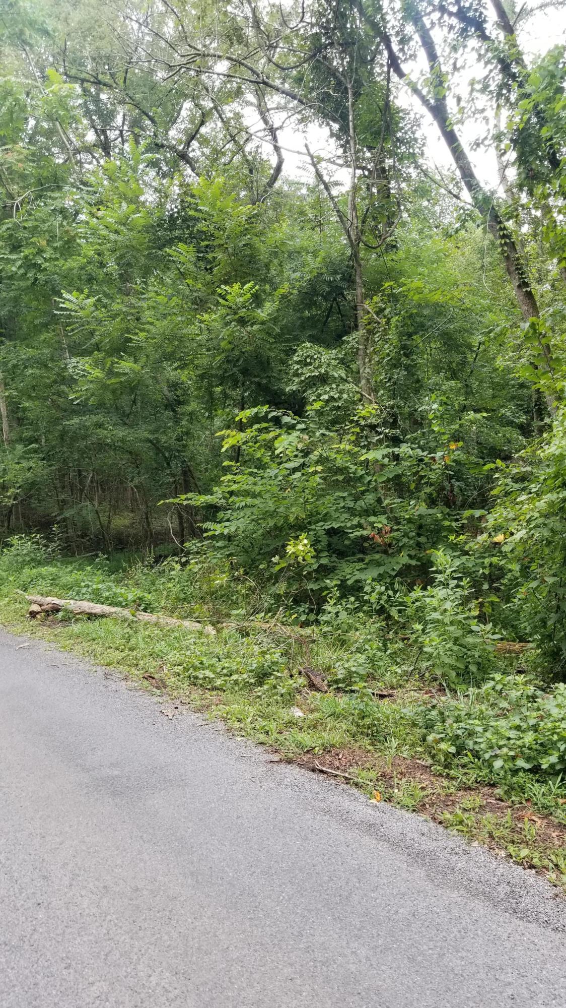 10.18-acre Stump Hollow Road Spring City, TN 37381 - Photo 11 of 17 11