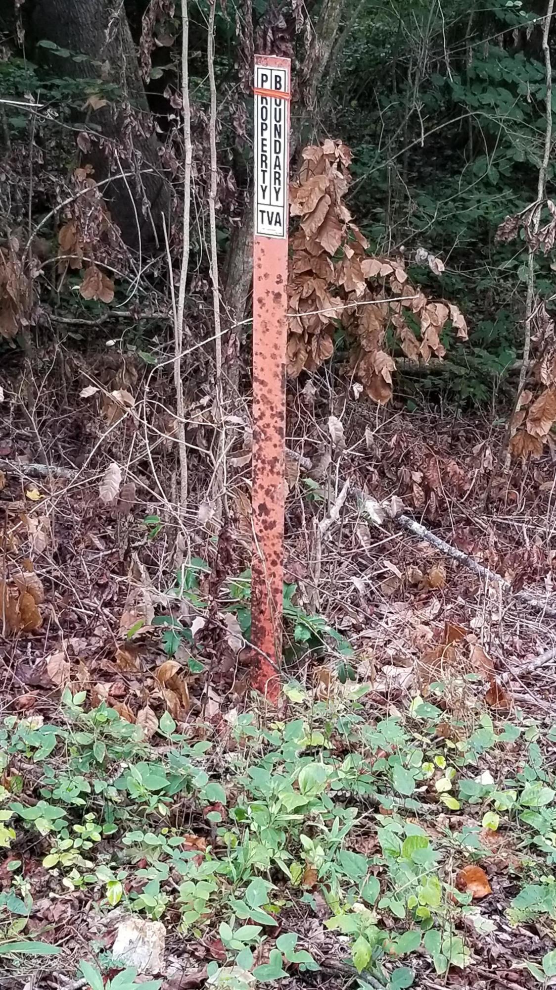 10.18-acre Stump Hollow Road Spring City, TN 37381 - Photo 13 of 17 13