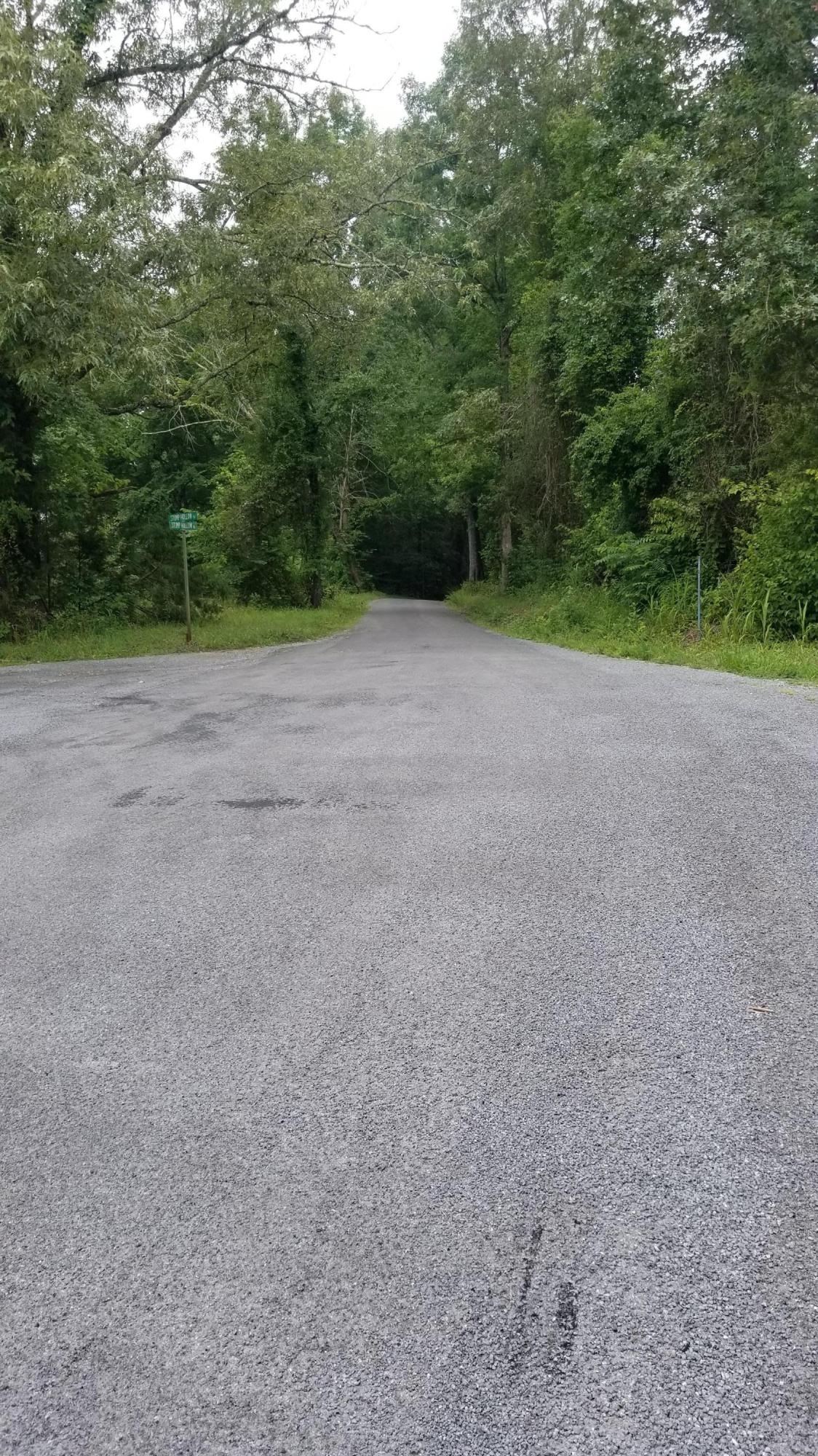10.18-acre Stump Hollow Road Spring City, TN 37381 - Photo 14 of 17 14