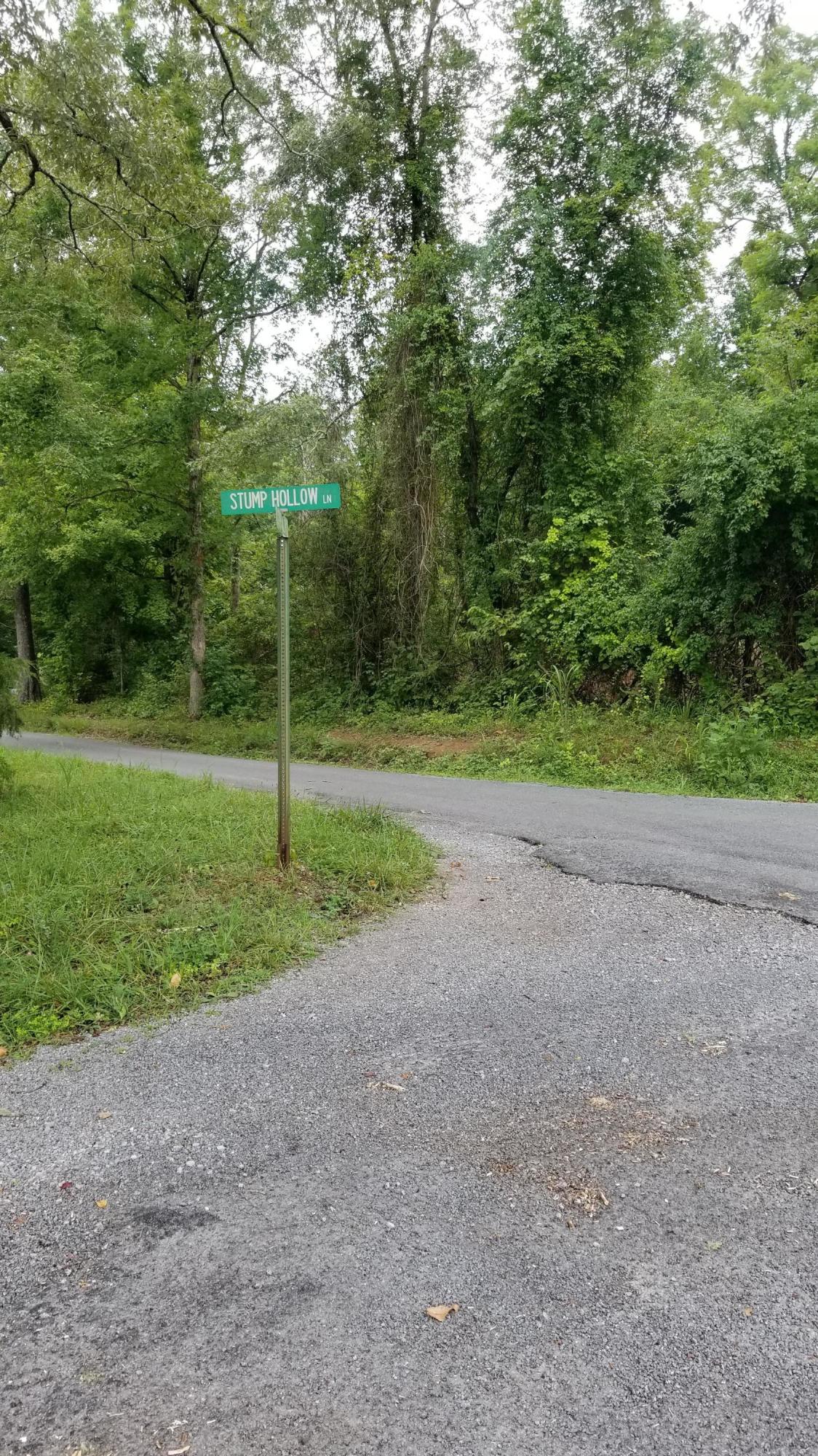 10.18-acre Stump Hollow Road Spring City, TN 37381 - Photo 15 of 17 15