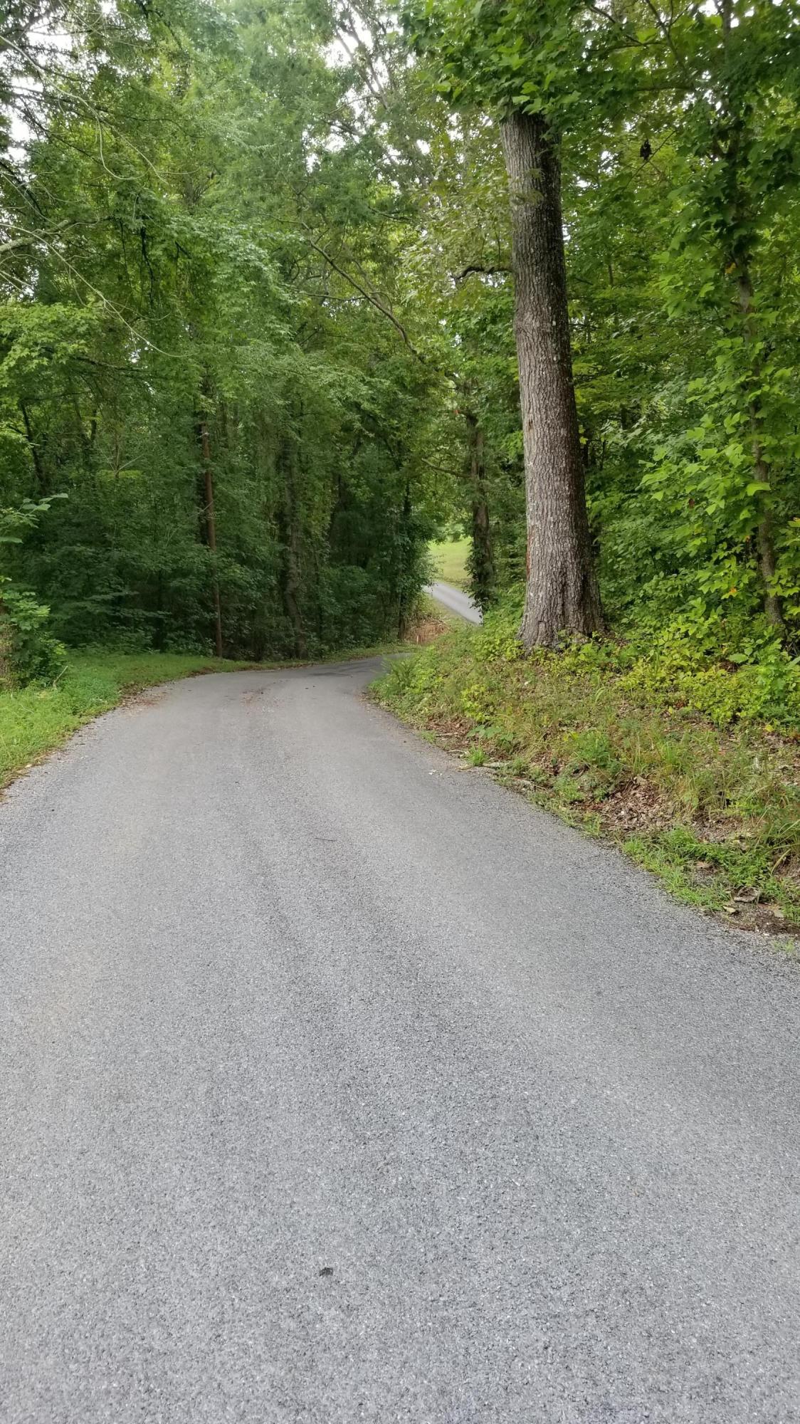 10.18-acre Stump Hollow Road Spring City, TN 37381 - Photo 16 of 17 16