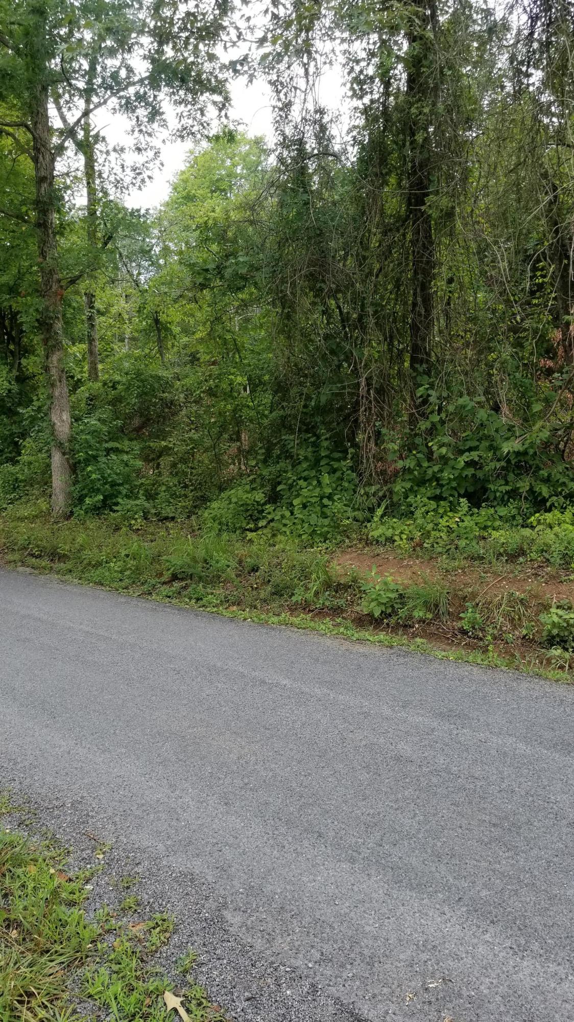 10.18-acre Stump Hollow Road Spring City, TN 37381 - Photo 17 of 17 17
