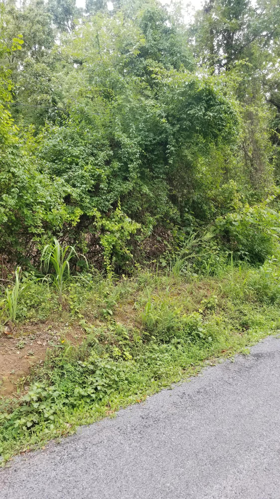 10.18-acre Stump Hollow Road Spring City, TN 37381 - Photo 7 of 17 7