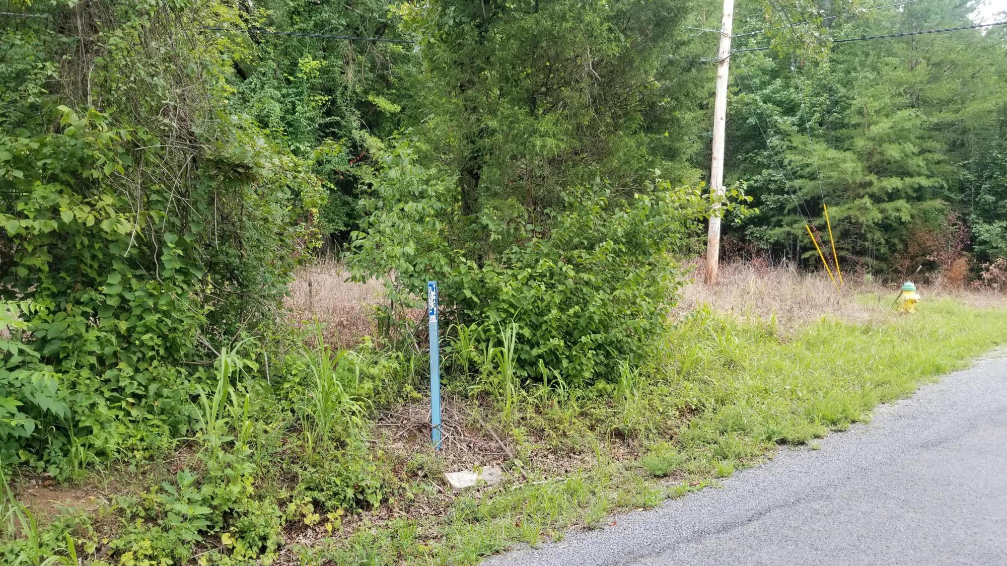 10.18-acre Stump Hollow Road Spring City, TN 37381 - Photo 10 of 17 10
