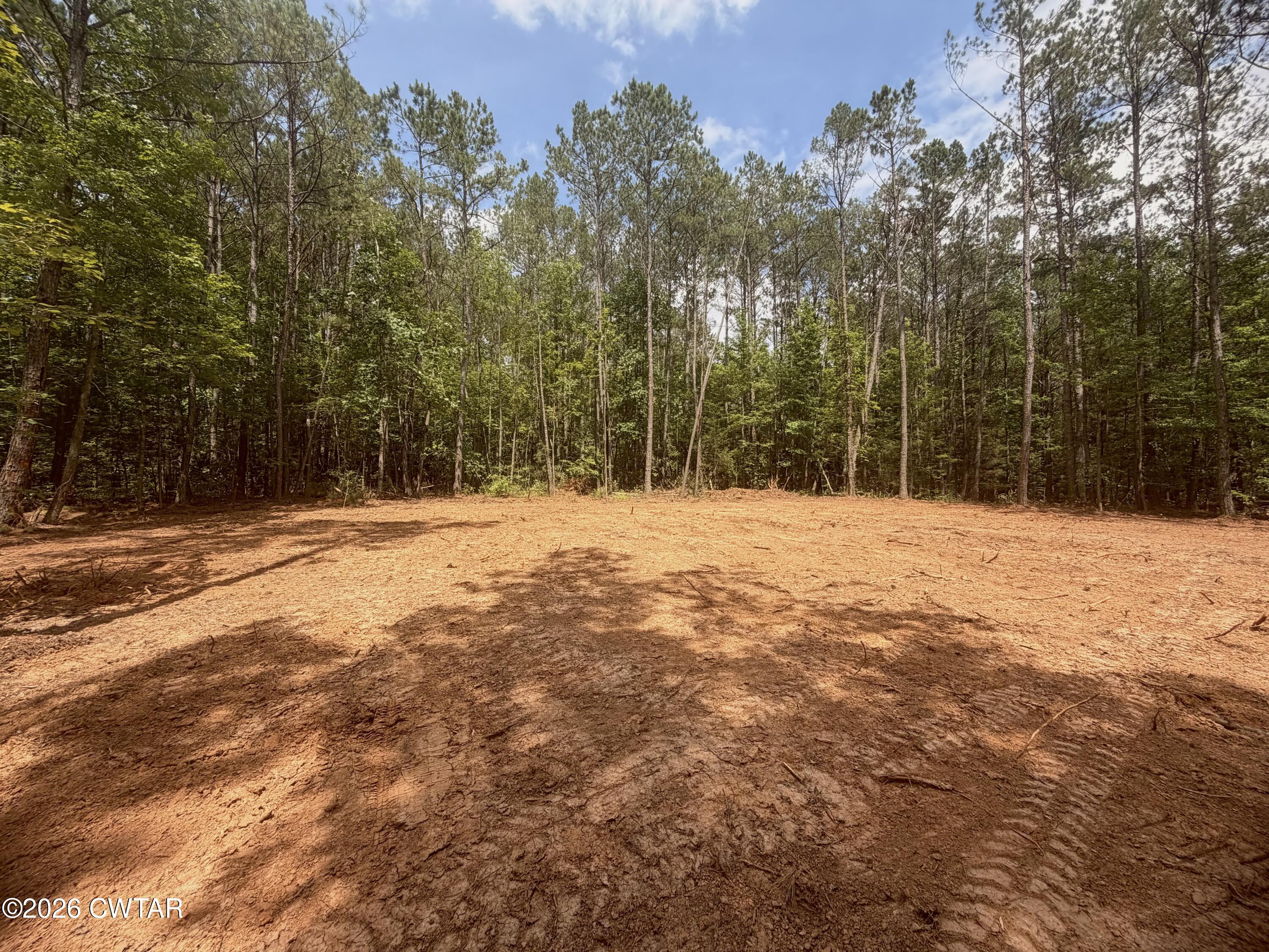 0 Old Lula Road Reagan, TN 38368 - Photo 4 of 18 IMG_4600