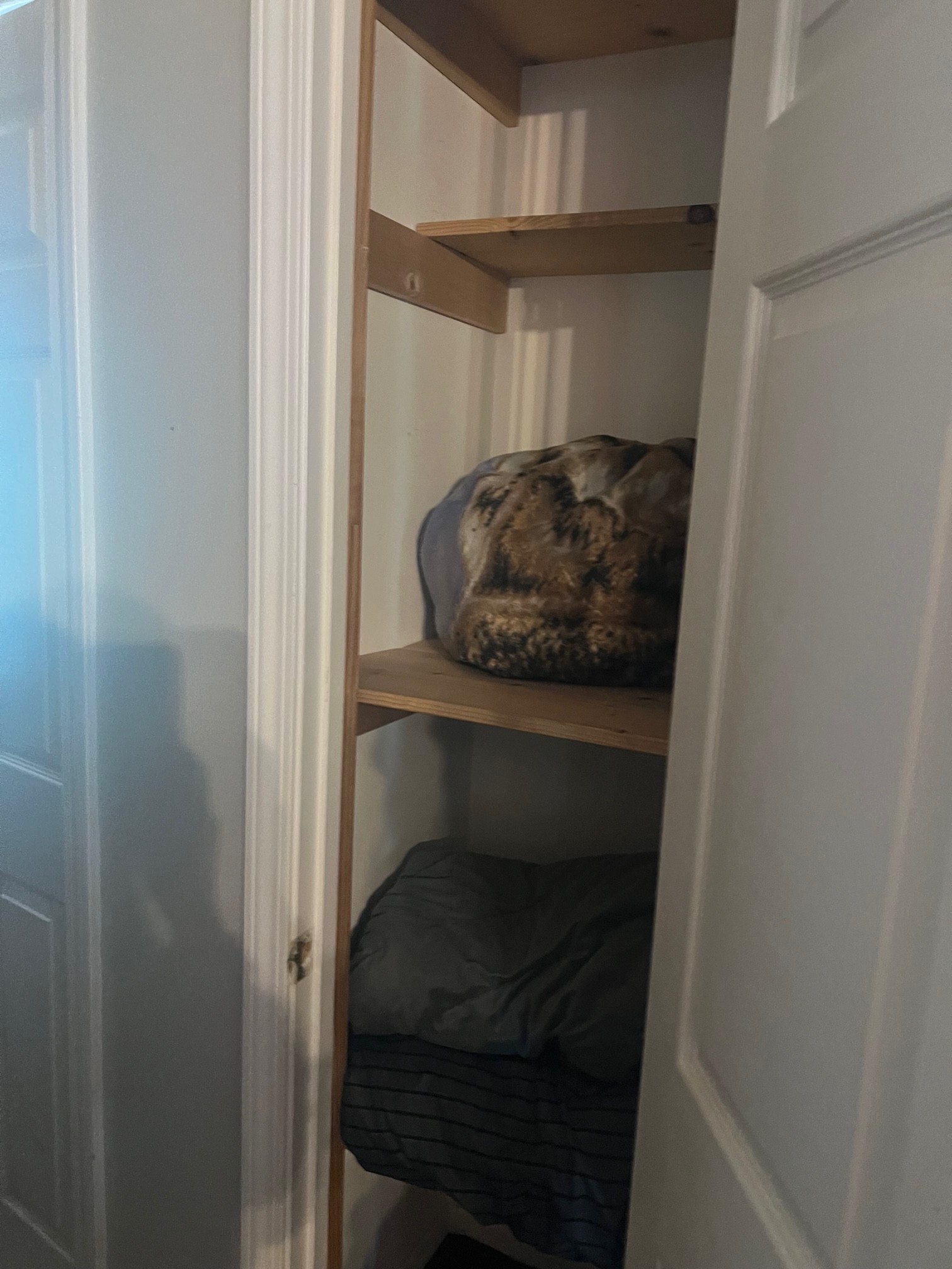 545 Austin Bottom Road Baxter, TN 38544 - Photo 7 of 24 a utility room with wooden floor washer and dryer