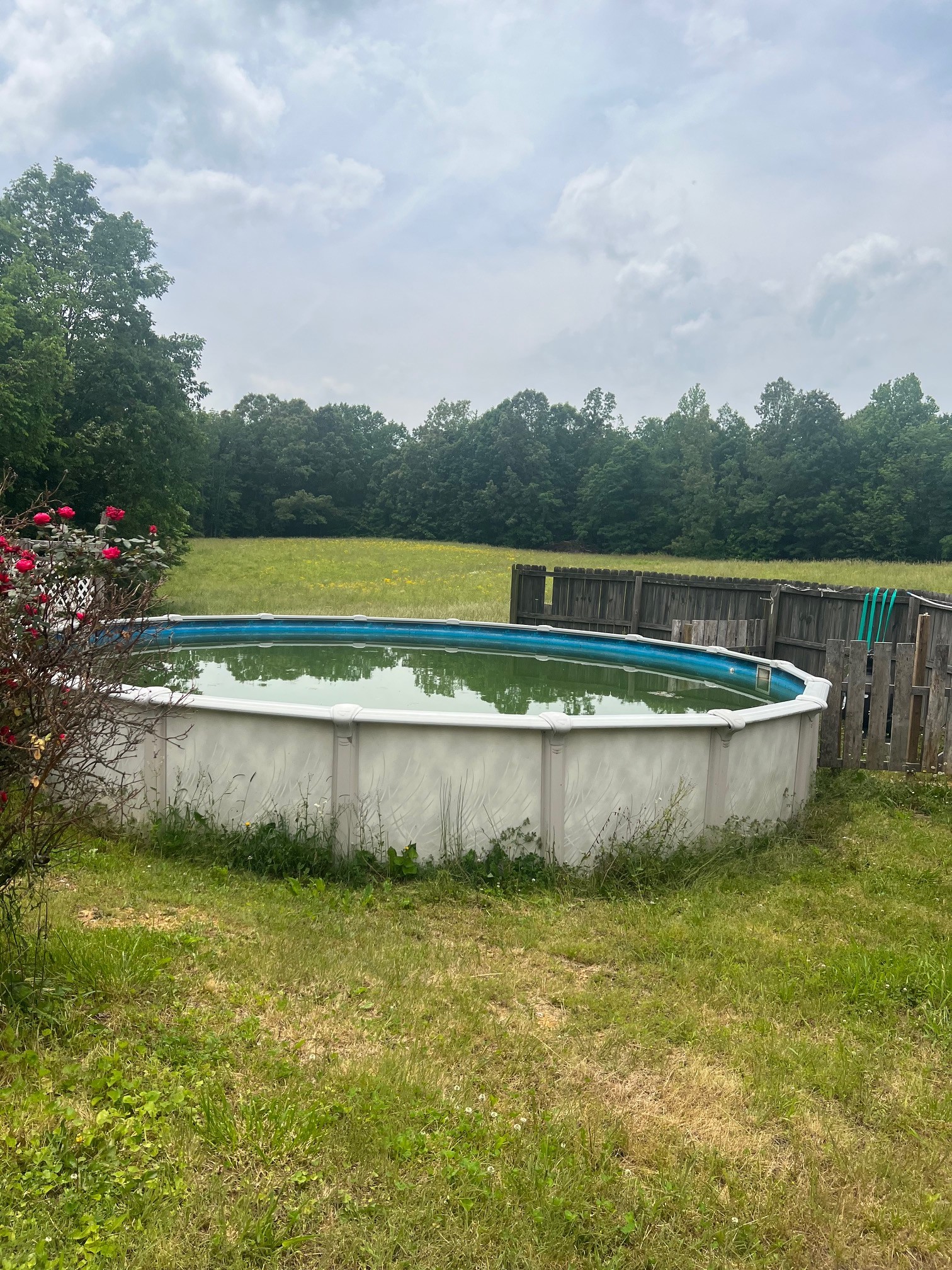 545 Austin Bottom Road Baxter, TN 38544 - Photo 9 of 24 a view of a swimming pool with a yard