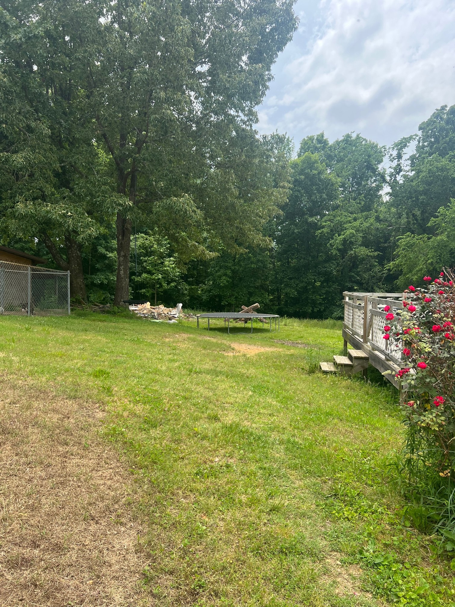 545 Austin Bottom Road Baxter, TN 38544 - Photo 10 of 24 a view of a swimming pool with a yard