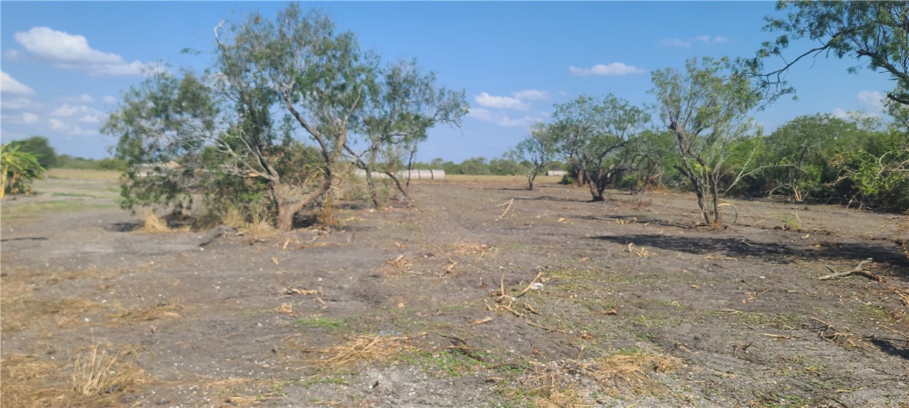0 1st Street Bayside, TX 78340 - Photo 3 of 10 a view of dirt yard with a tree