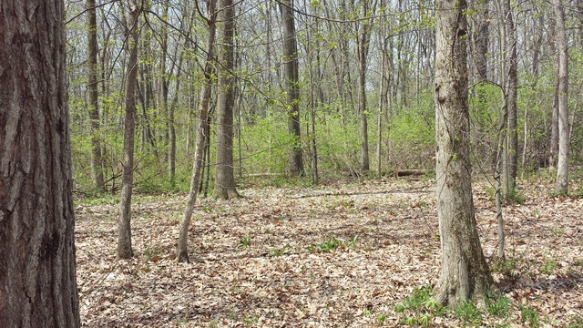 631 East Park Road Oregon, IL 61061 - Photo 14 of 17 a view of a backyard of the house