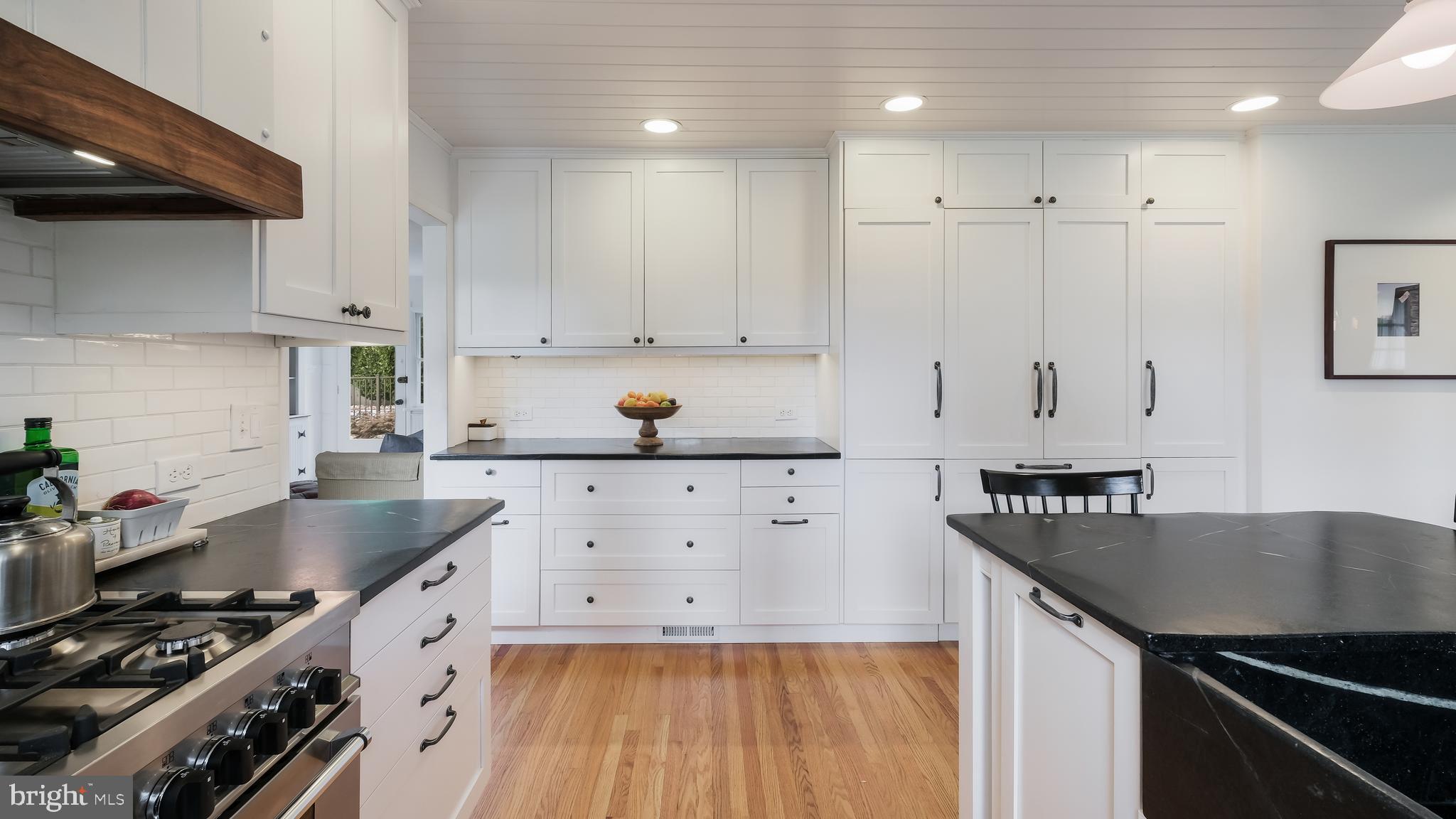 1049 George Road Jenkintown, PA 19046 - Photo 22 of 67 Pantry cabinets & Plenty of counter space