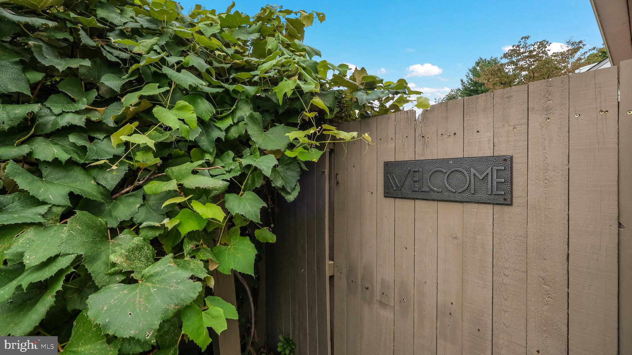 1049 George Road Jenkintown, PA 19046 - Photo 56 of 67 Your very own vineyard on this grape covered fence