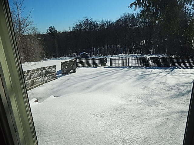 95 Main Road North Hampden, ME 04444 - Photo 44 of 44 42